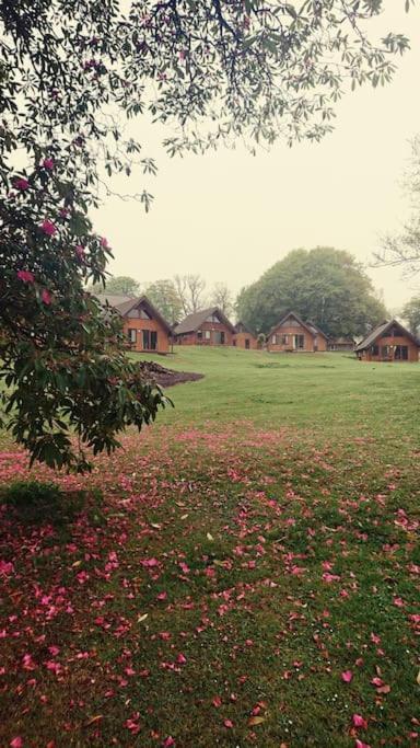 Bungalow 62,North Cornwall, St. Tudy Saint Tudy 外观 照片